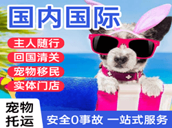 三女河机场托运国际宠物托运 【国